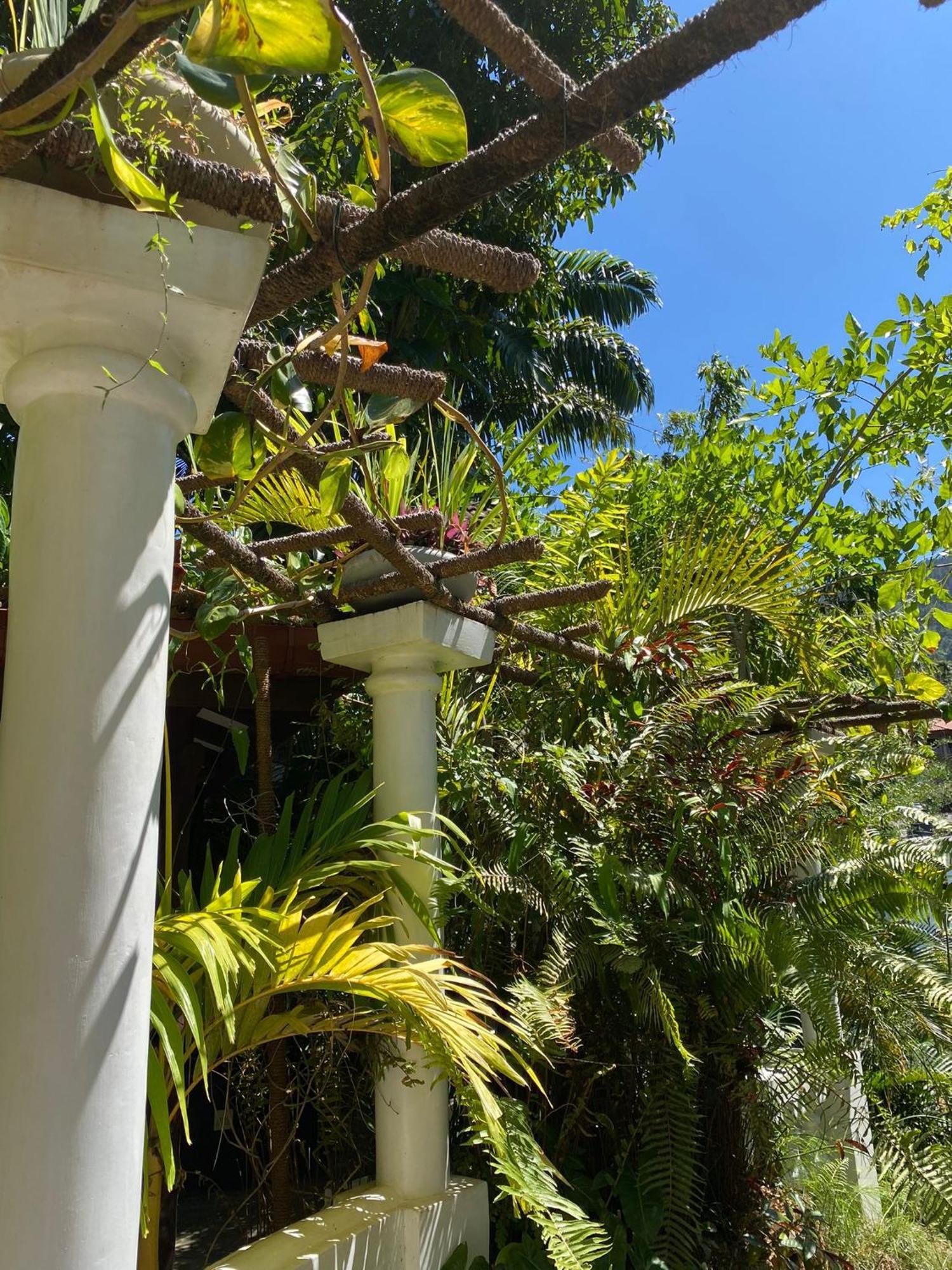 Villa Olde Ceylon Канди Екстериор снимка